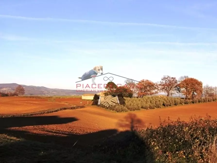 Immagine 21 di Rustico / casale in vendita  in Lubriano a Lubriano