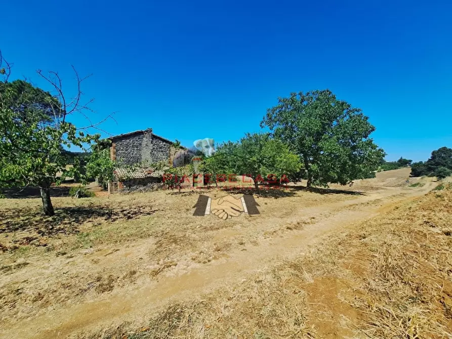 Immagine 20 di Rustico / casale in vendita  in Lubriano a Lubriano