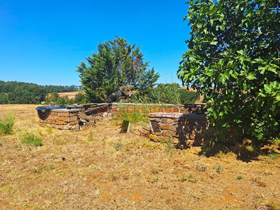 Immagine 22 di Rustico / casale in vendita  in Lubriano a Lubriano