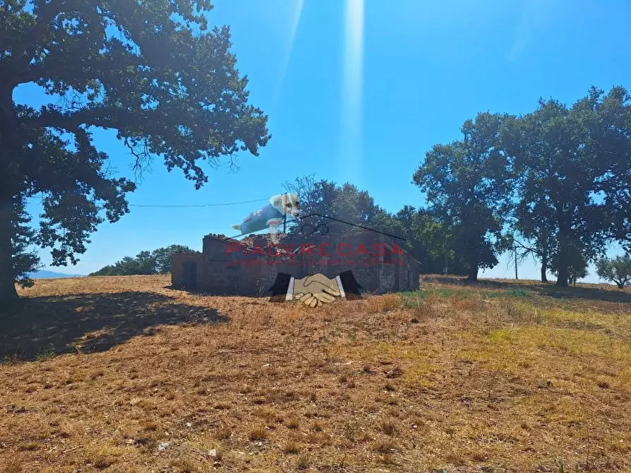 Immagine 23 di Rustico / casale in vendita  in Lubriano a Lubriano