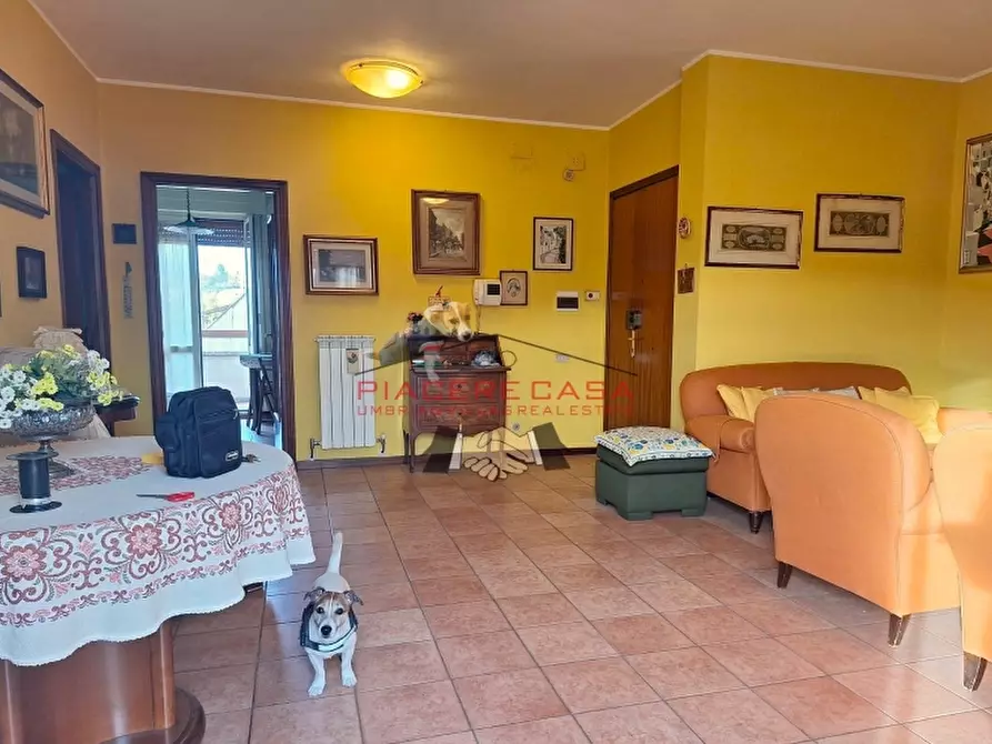 Immagine 2 di Appartamento in vendita  in Località Ciconia a Orvieto