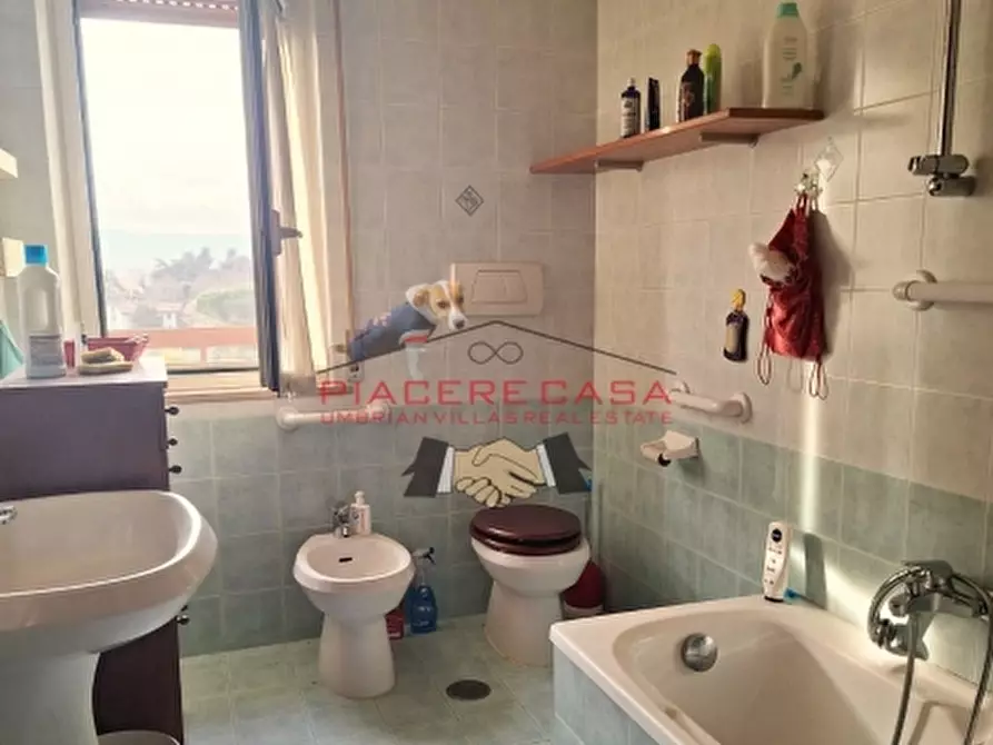 Immagine 13 di Appartamento in vendita  in Località Ciconia a Orvieto