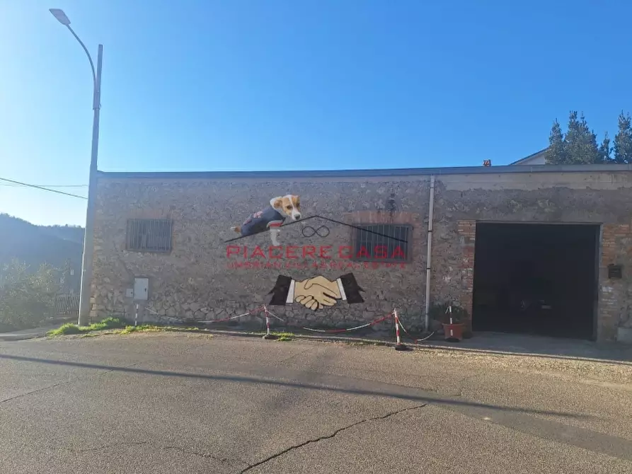 Immagine 5 di Capannone industriale in vendita  in castiglione in teverina a Castiglione In Teverina