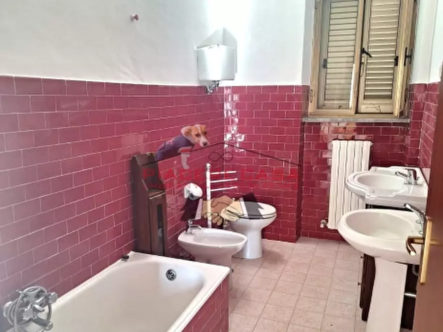 Immagine 24 di Porzione di casa in vendita  in Viceno a Castel Viscardo