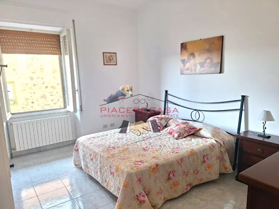 Immagine 25 di Porzione di casa in vendita  in Viceno a Castel Viscardo