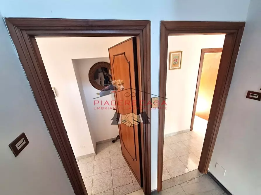 Immagine 27 di Porzione di casa in vendita  in Viceno a Castel Viscardo