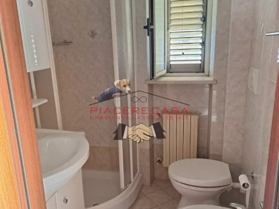 Immagine 28 di Porzione di casa in vendita  in Viceno a Castel Viscardo