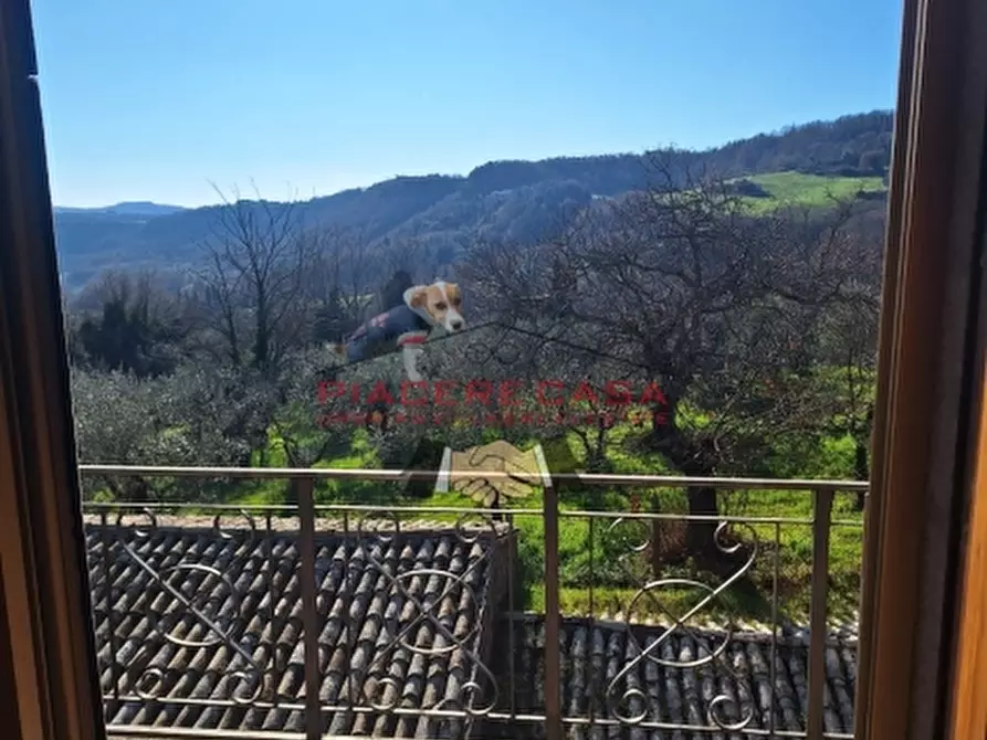 Immagine 4 di Porzione di casa in vendita  in Viceno a Castel Viscardo