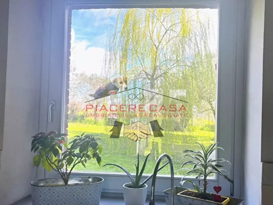 Immagine 28 di Rustico / casale in vendita  in orvieto a Orvieto