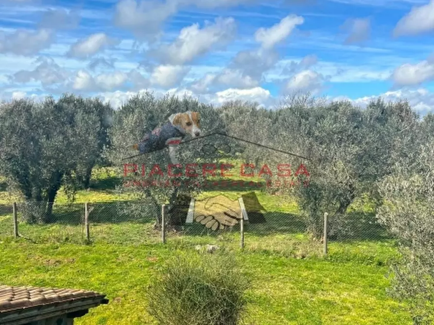 Immagine 13 di Rustico / casale in vendita  in orvieto a Orvieto