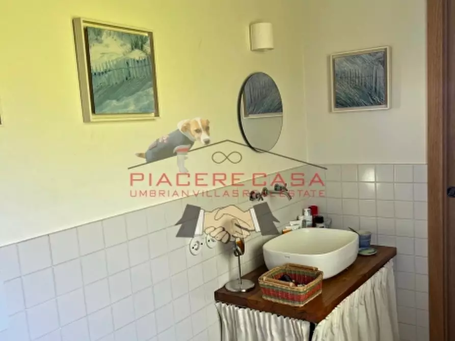 Immagine 30 di Rustico / casale in vendita  in orvieto a Orvieto