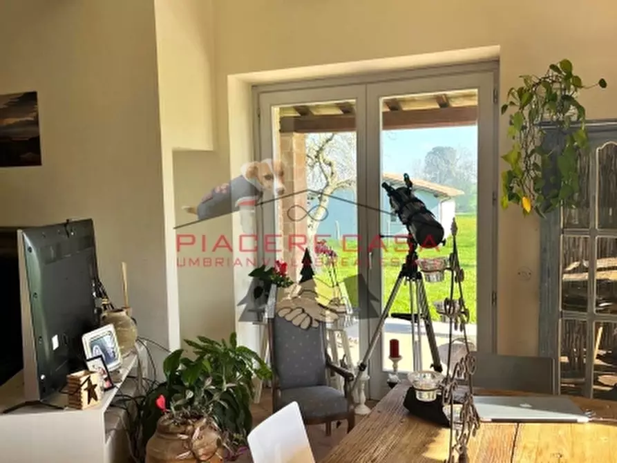 Immagine 21 di Rustico / casale in vendita  in orvieto a Orvieto