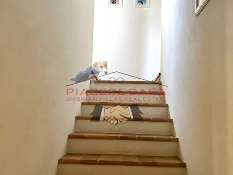 Immagine 32 di Rustico / casale in vendita  in orvieto a Orvieto