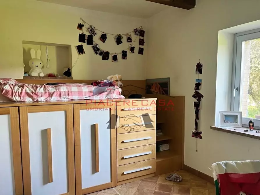 Immagine 34 di Rustico / casale in vendita  in orvieto a Orvieto