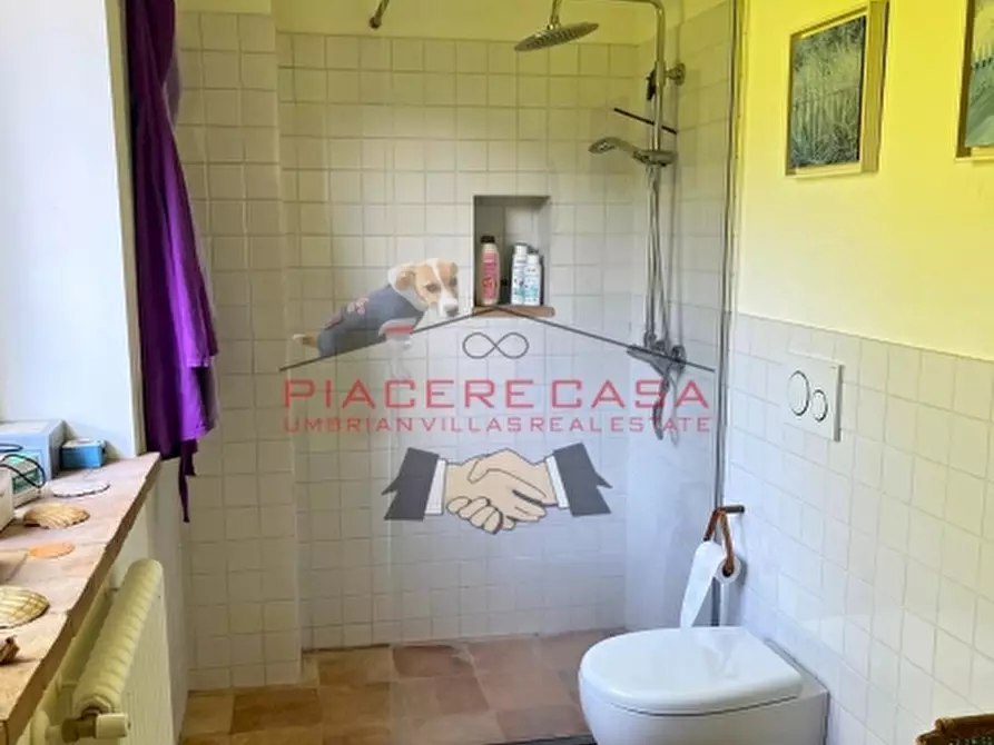 Immagine 31 di Rustico / casale in vendita  in orvieto a Orvieto