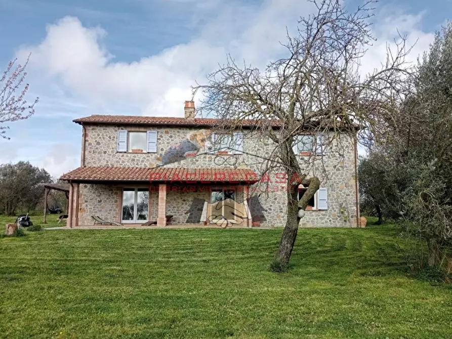 Immagine 3 di Rustico / casale in vendita  in orvieto a Orvieto