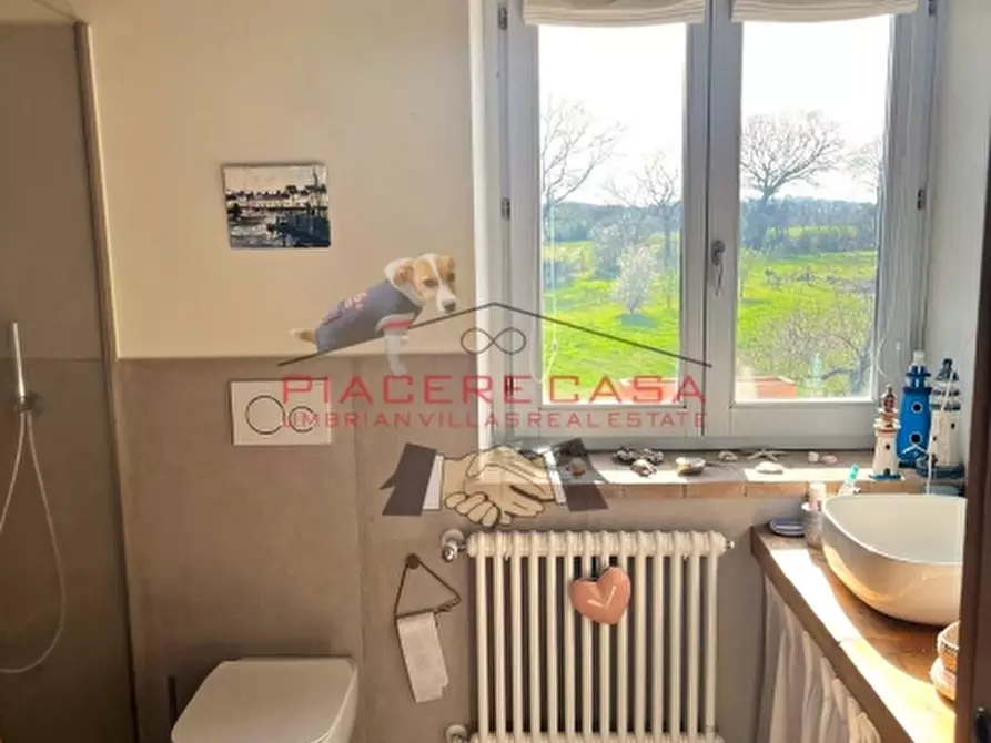 Immagine 36 di Rustico / casale in vendita  in orvieto a Orvieto