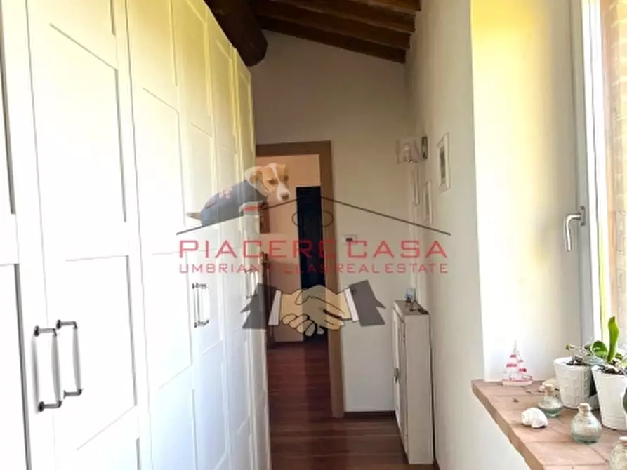 Immagine 33 di Rustico / casale in vendita  in orvieto a Orvieto