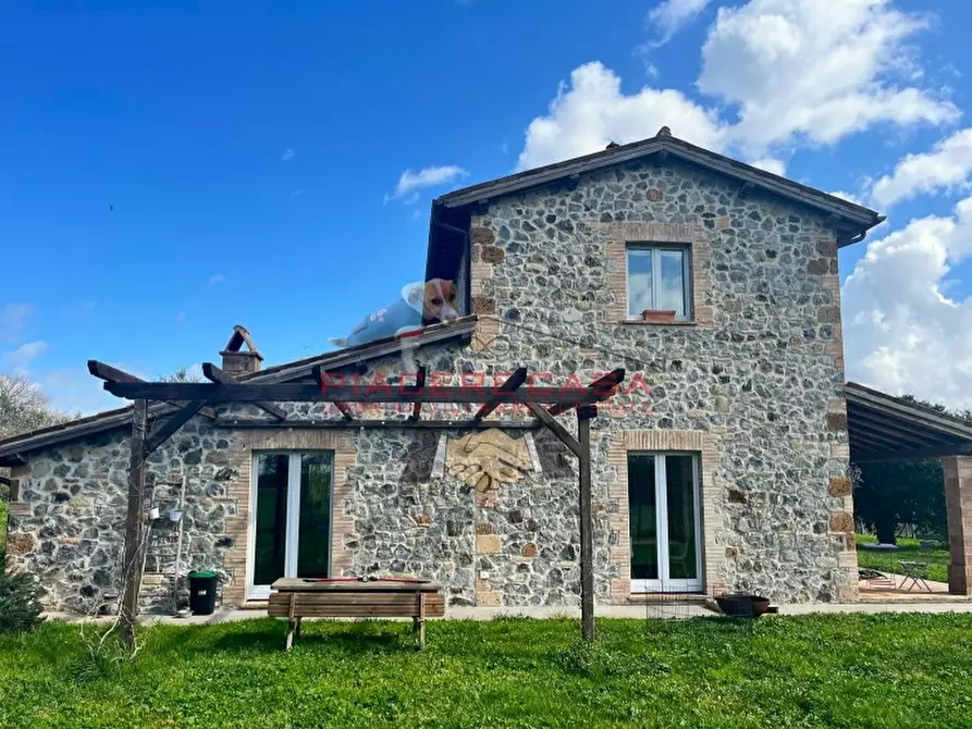 Immagine 5 di Rustico / casale in vendita  in orvieto a Orvieto