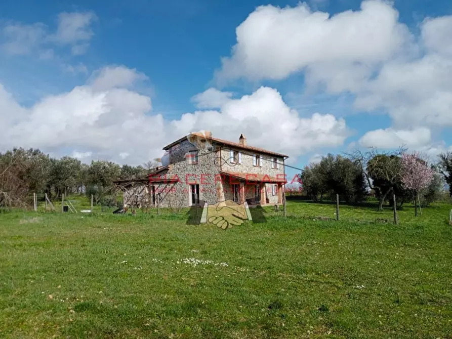Immagine 11 di Rustico / casale in vendita  in orvieto a Orvieto