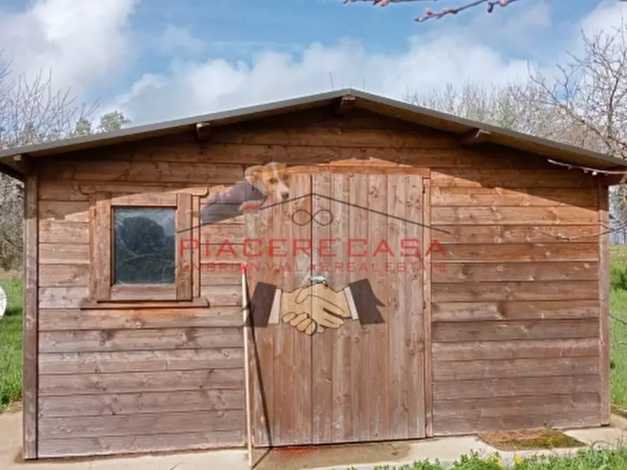 Immagine 17 di Rustico / casale in vendita  in orvieto a Orvieto