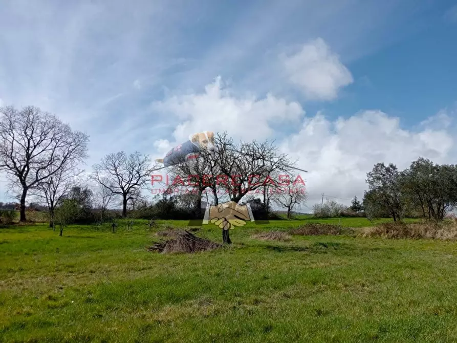 Immagine 6 di Rustico / casale in vendita  in orvieto a Orvieto