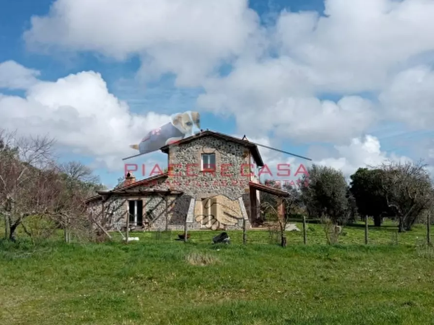 Immagine 15 di Rustico / casale in vendita  in orvieto a Orvieto