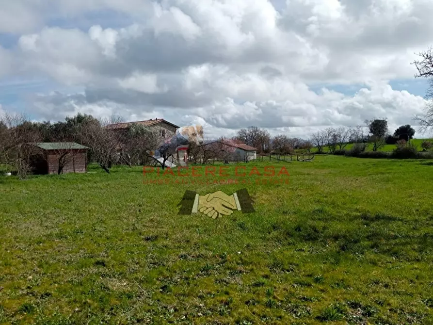 Immagine 7 di Rustico / casale in vendita  in orvieto a Orvieto