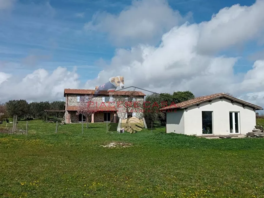 Immagine 12 di Rustico / casale in vendita  in orvieto a Orvieto