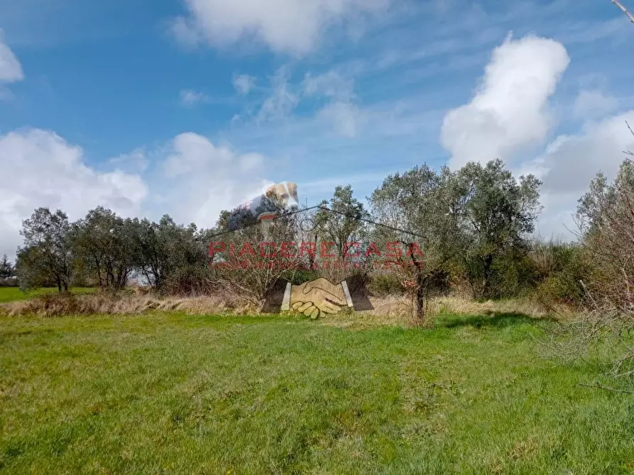 Immagine 4 di Rustico / casale in vendita  in orvieto a Orvieto