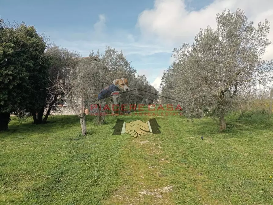 Immagine 8 di Rustico / casale in vendita  in orvieto a Orvieto