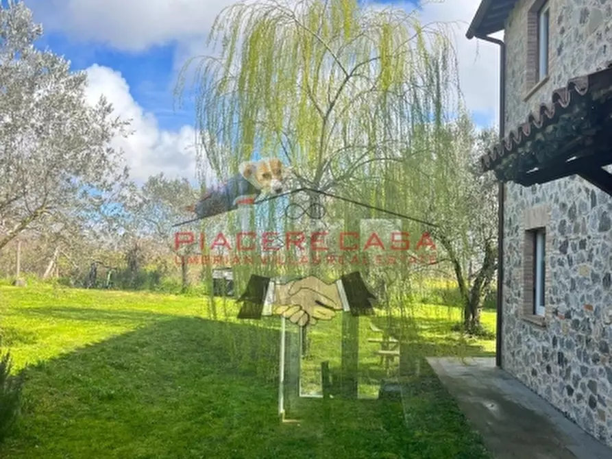 Immagine 14 di Rustico / casale in vendita  in orvieto a Orvieto