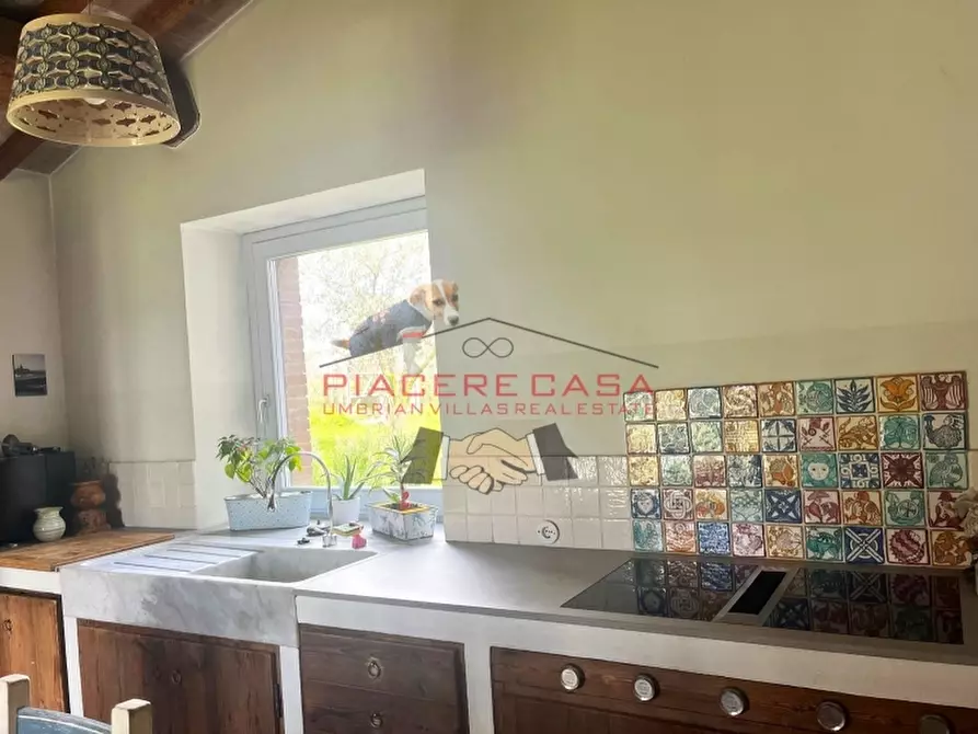 Immagine 25 di Rustico / casale in vendita  in orvieto a Orvieto