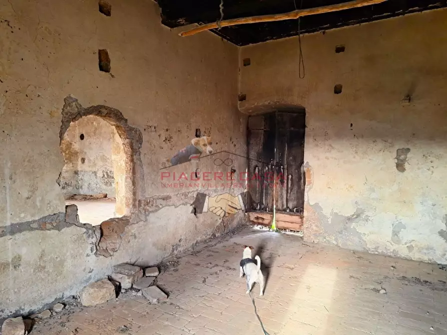 Immagine 12 di Rustico / casale in vendita  in Orvieto a Orvieto