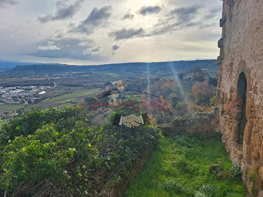 Immagine 6 di Rustico / casale in vendita  in Orvieto a Orvieto