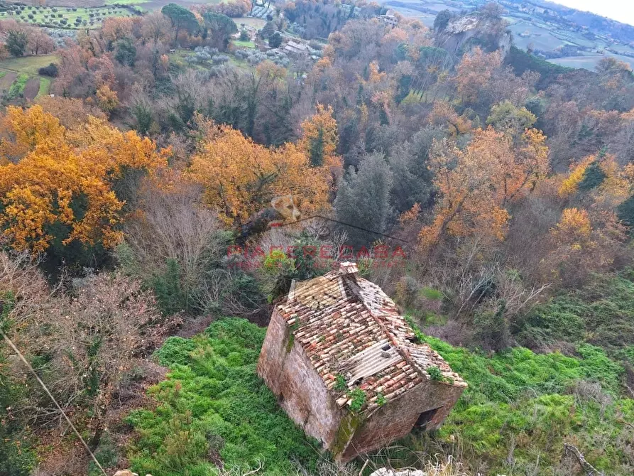 Immagine 23 di Rustico / casale in vendita  in Orvieto a Orvieto