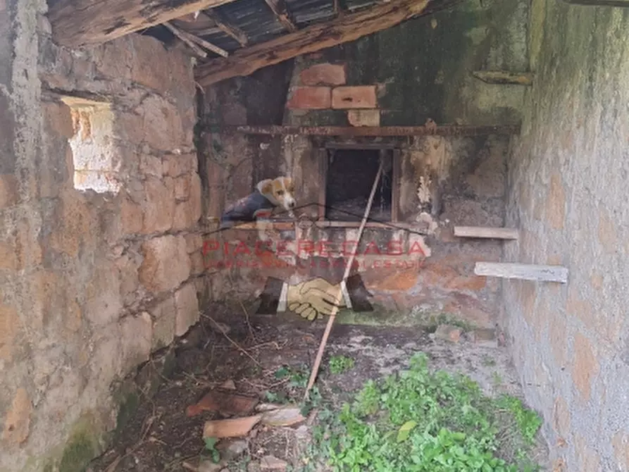 Immagine 21 di Rustico / casale in vendita  in Orvieto a Orvieto