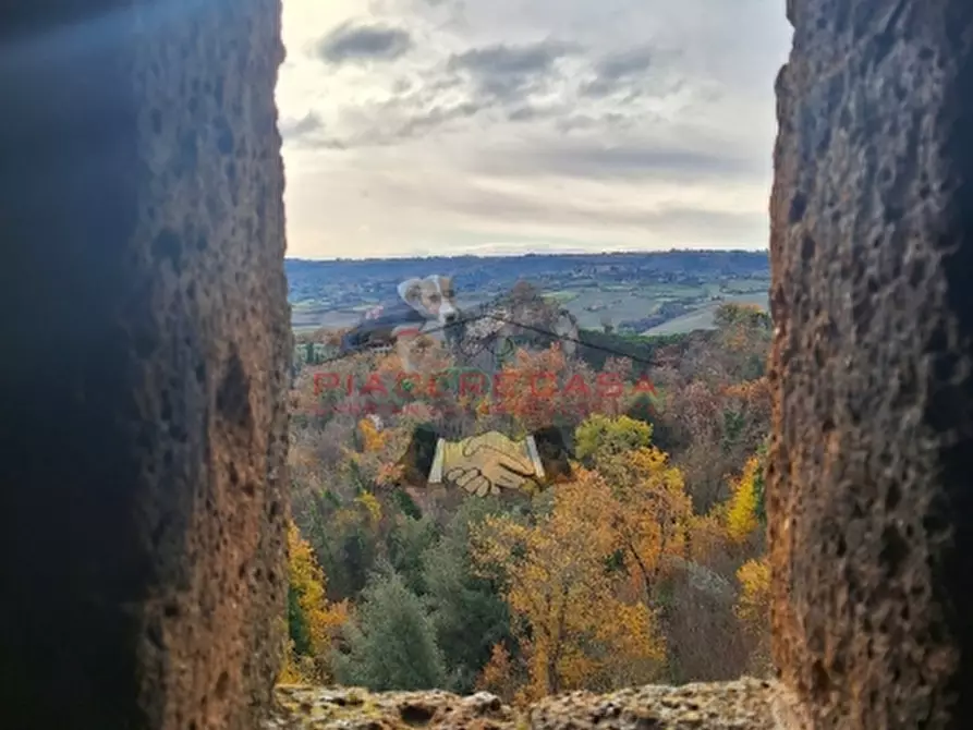 Immagine 8 di Rustico / casale in vendita  in Orvieto a Orvieto