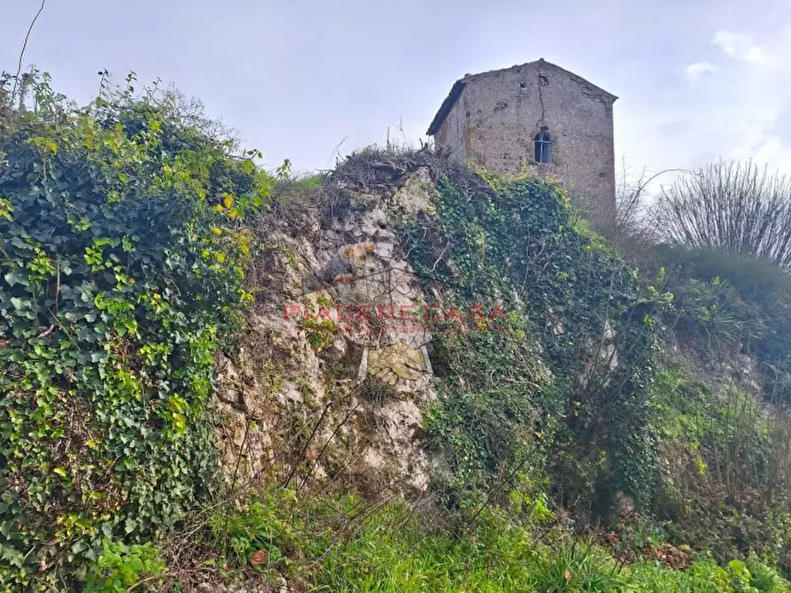 Immagine 4 di Rustico / casale in vendita  in Orvieto a Orvieto
