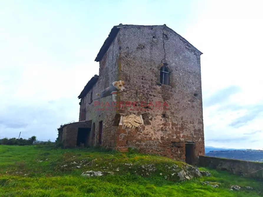 Immagine 24 di Rustico / casale in vendita  in Orvieto a Orvieto