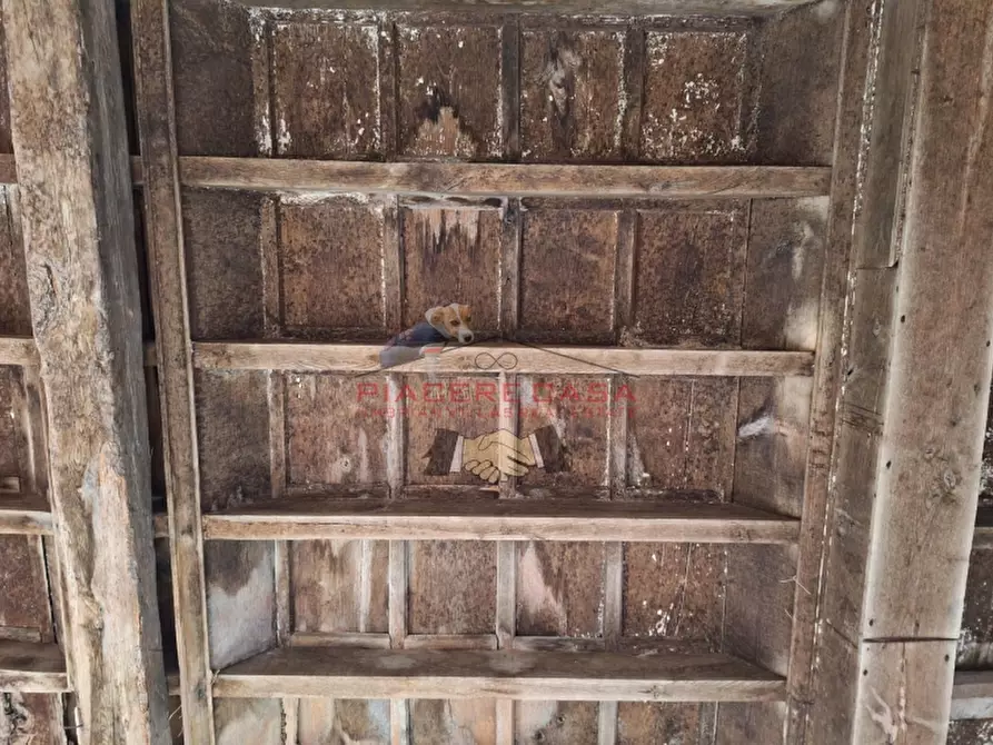 Immagine 16 di Rustico / casale in vendita  in Orvieto a Orvieto