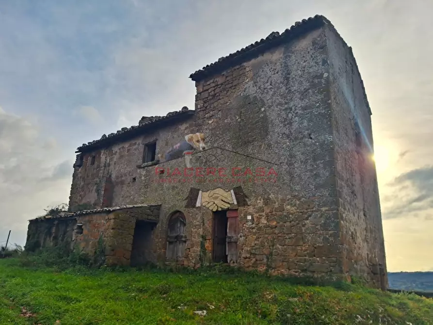 Immagine 5 di Rustico / casale in vendita  in Orvieto a Orvieto