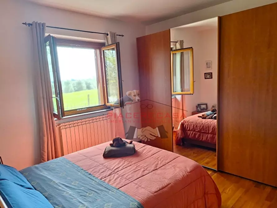 Immagine 14 di Appartamento in vendita  in Porano a Porano