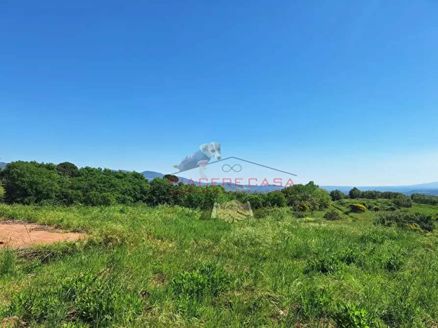 Immagine 6 di Casa indipendente in vendita  in Baschi a Baschi