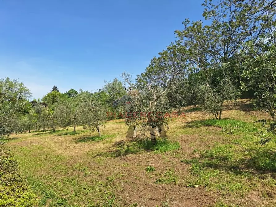 Immagine 9 di Rustico / casale in vendita  in Orvieto a Orvieto