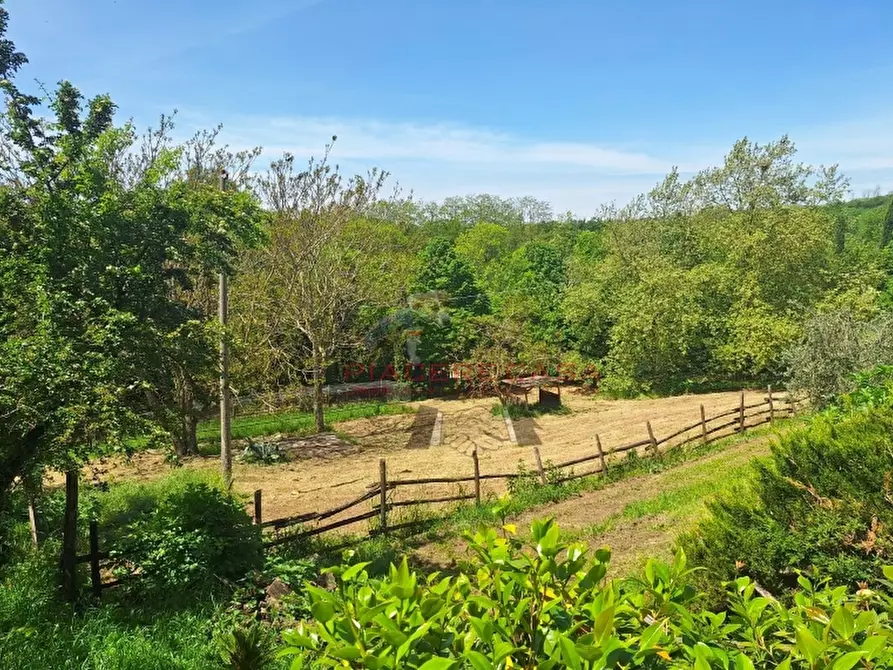 Immagine 7 di Rustico / casale in vendita  in Orvieto a Orvieto