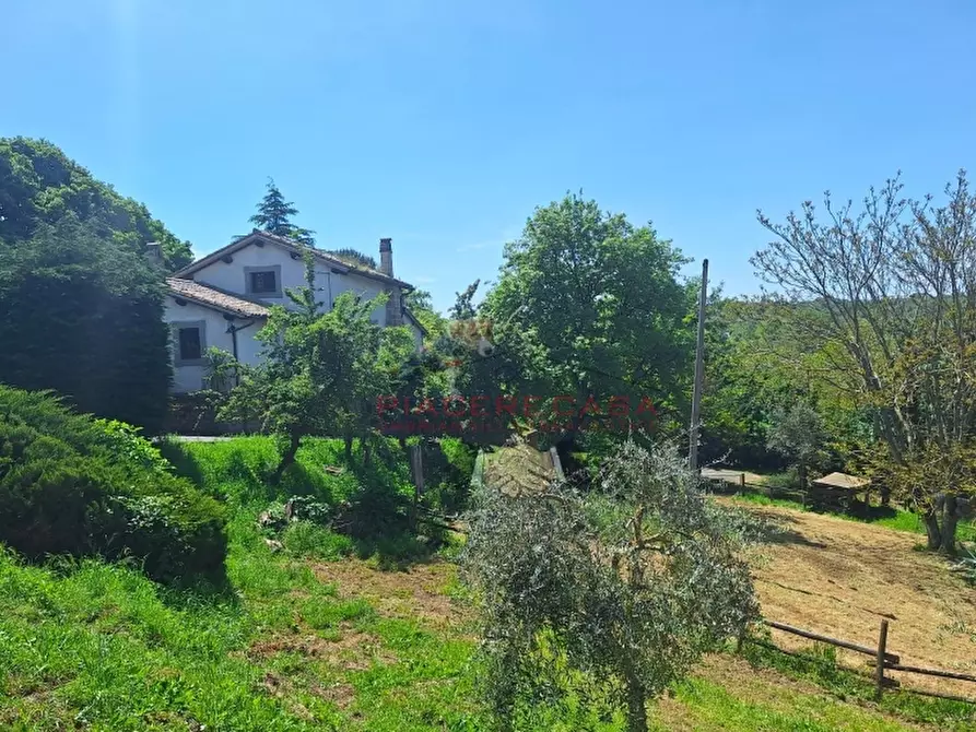 Immagine 1 di Rustico / casale in vendita  in Orvieto a Orvieto