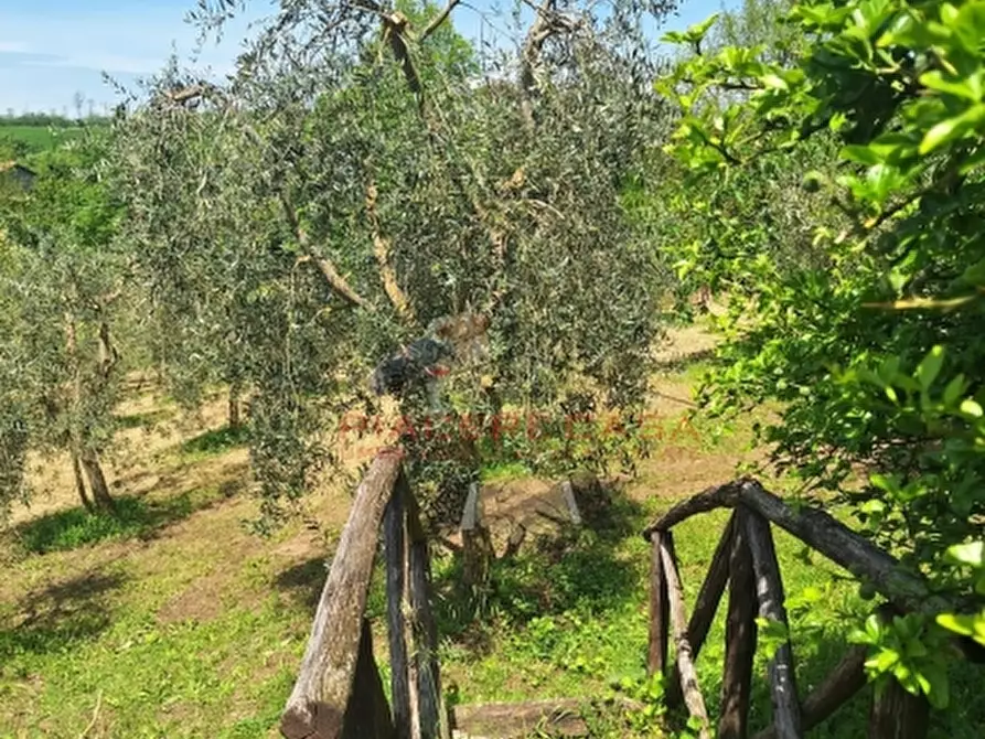 Immagine 8 di Rustico / casale in vendita  in Orvieto a Orvieto