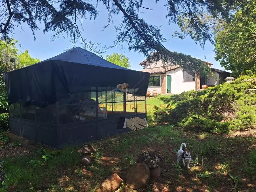 Immagine 10 di Rustico / casale in vendita  in Orvieto a Orvieto