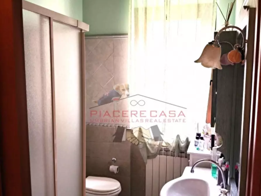 Immagine 31 di Villetta a schiera in vendita  in Porano a Porano